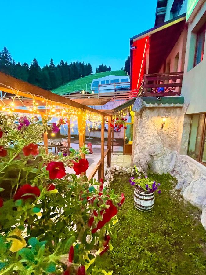 Hotel Forest Star On The Ski Slope Borovets Dış mekan fotoğraf