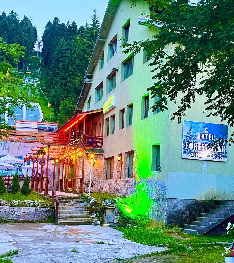 Hotel Forest Star On The Ski Slope Borovets Dış mekan fotoğraf