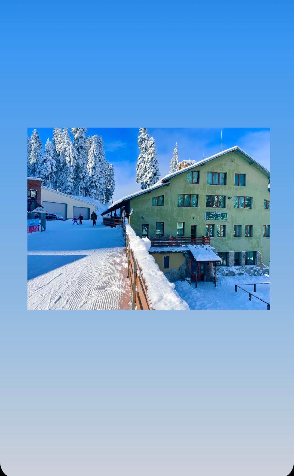 Hotel Forest Star On The Ski Slope Borovets Dış mekan fotoğraf