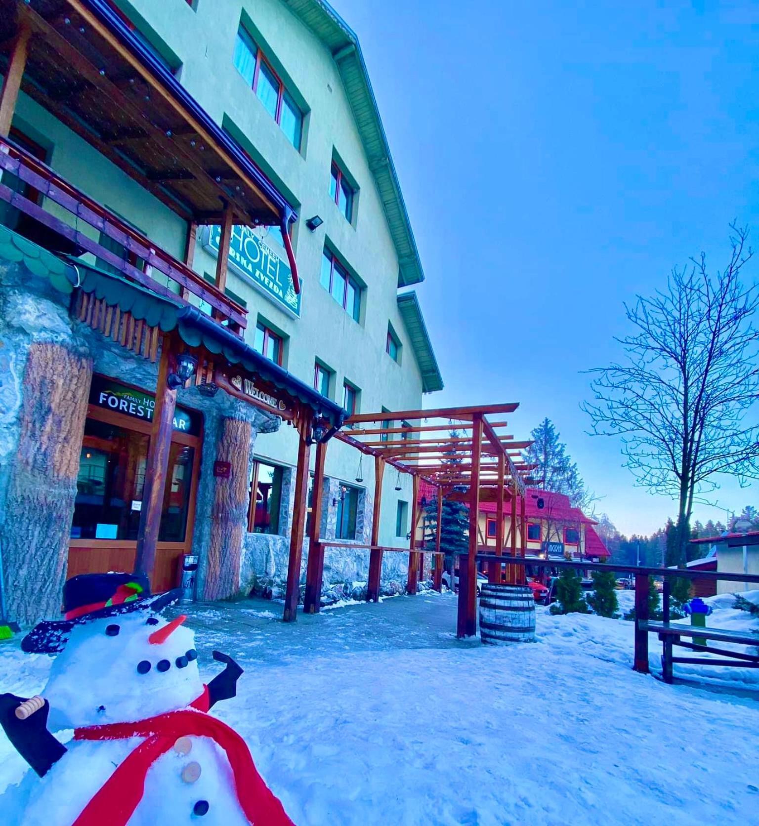 Hotel Forest Star On The Ski Slope Borovets Dış mekan fotoğraf