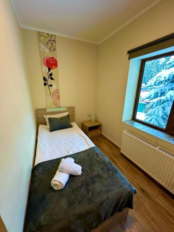 Hotel Forest Star On The Ski Slope Borovets Dış mekan fotoğraf