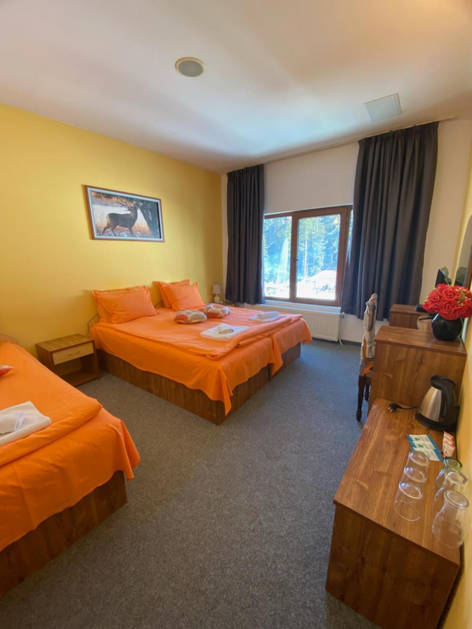 Hotel Forest Star On The Ski Slope Borovets Dış mekan fotoğraf