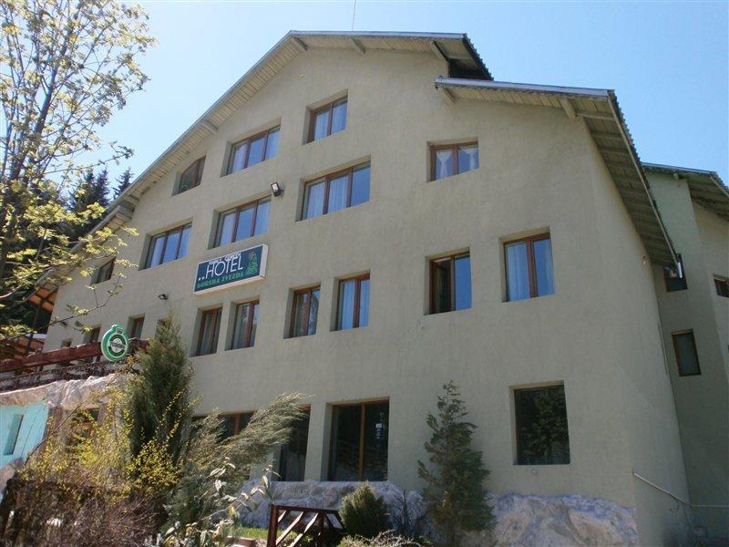 Hotel Forest Star On The Ski Slope Borovets Dış mekan fotoğraf